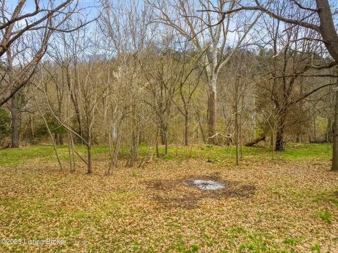 Listing Image 24