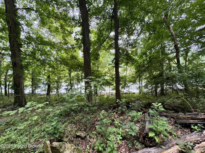Listing Image 69