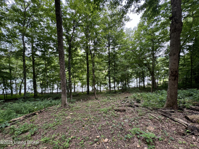Listing Image 70