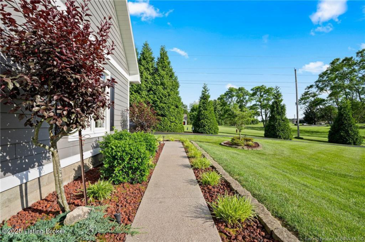 Listing Image 87