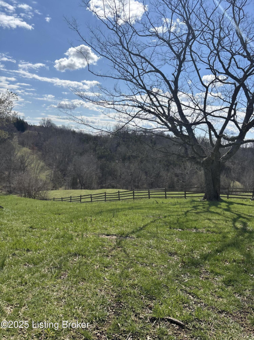 Listing Image 43