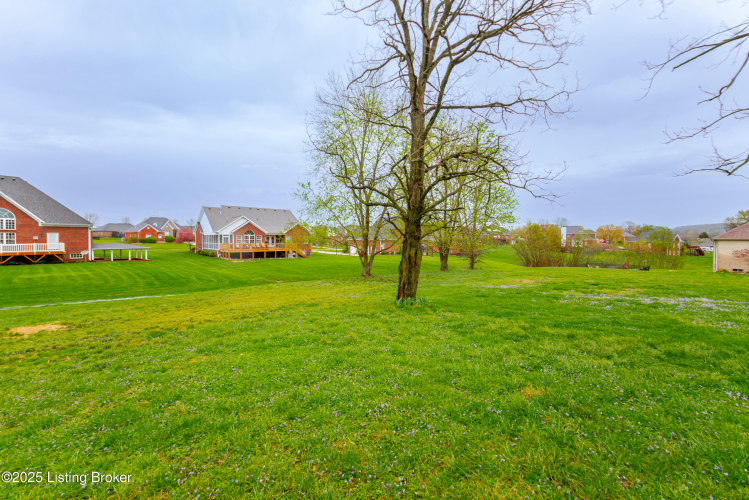 Listing Image 67
