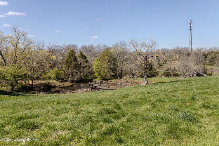 Listing Image 62