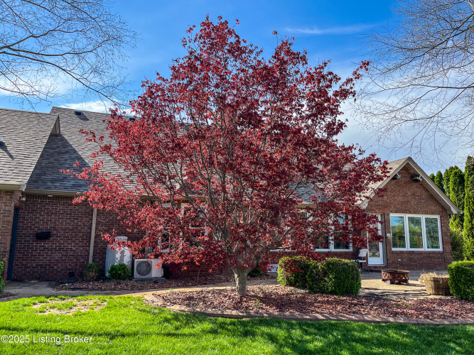 Listing Image 57