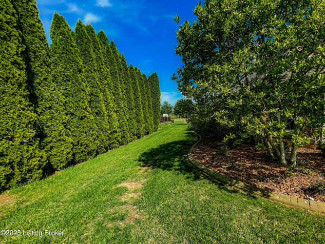 Listing Image 62