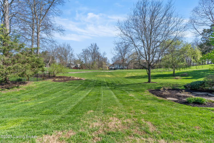 Listing Image 66