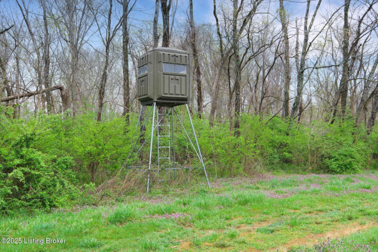 Listing Image 80