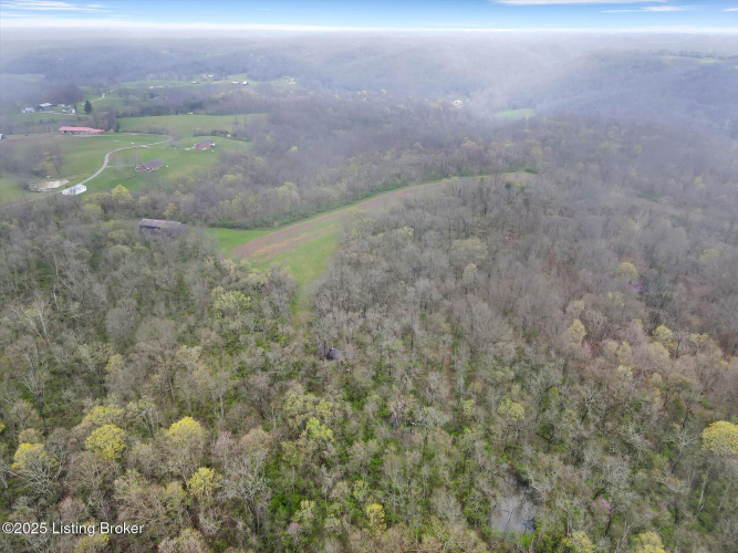 Listing Image 90