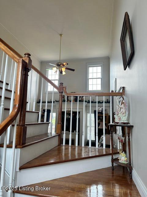 Listing Image 17