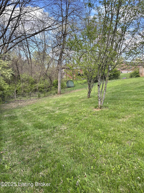 Listing Image 49