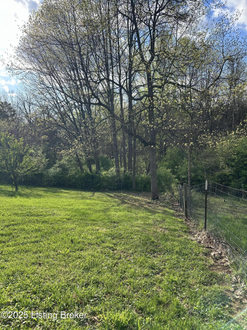 Listing Image 52