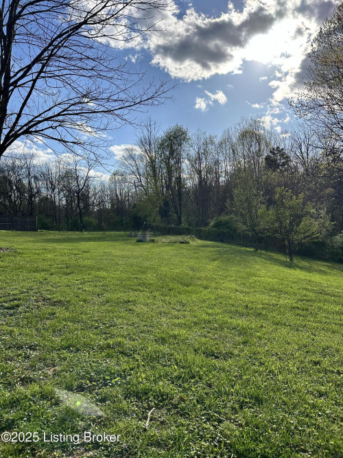 Listing Image 54