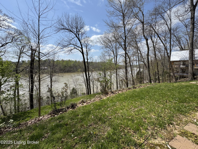 Listing Image 82