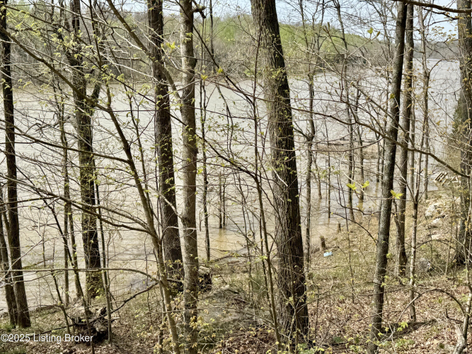 Listing Image 83