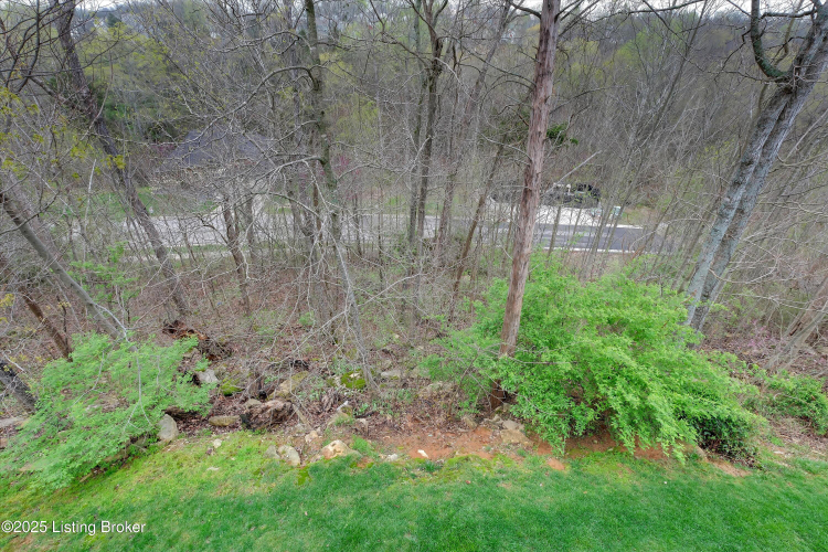 Listing Image 53