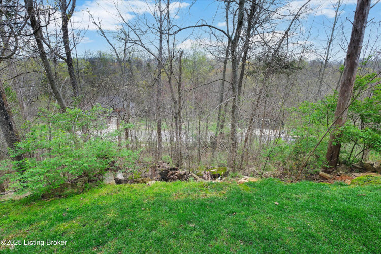 Listing Image 54