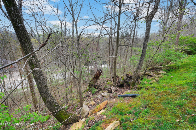 Listing Image 56