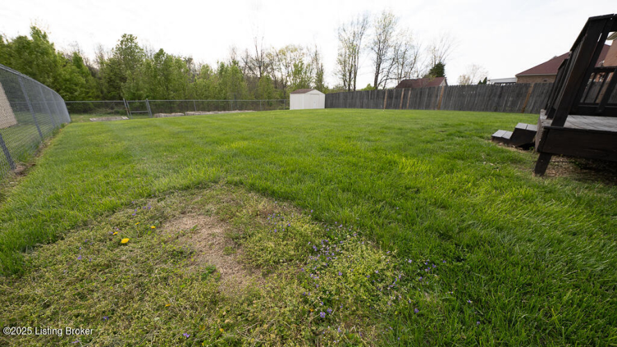 Listing Image 20