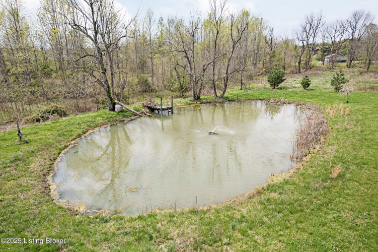 Listing Image 82