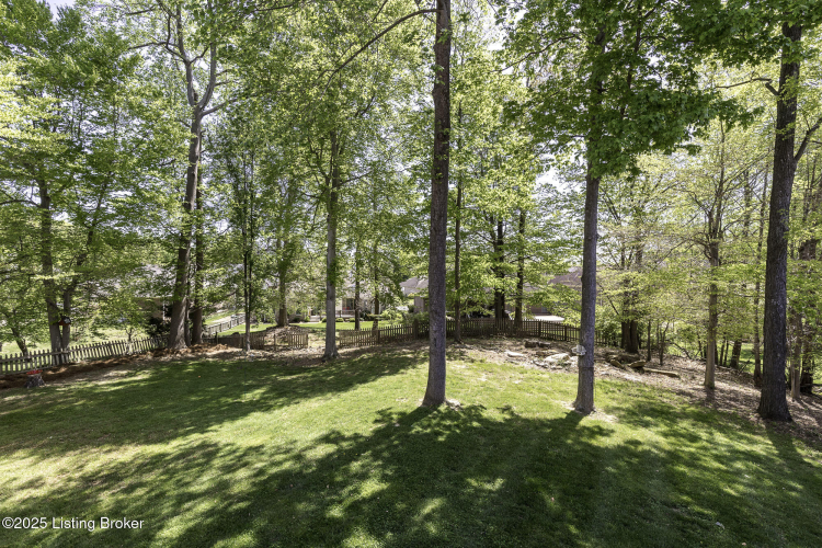 Listing Image 46