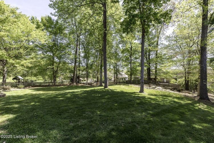 Listing Image 50