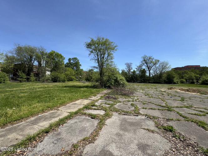 Listing Image 12