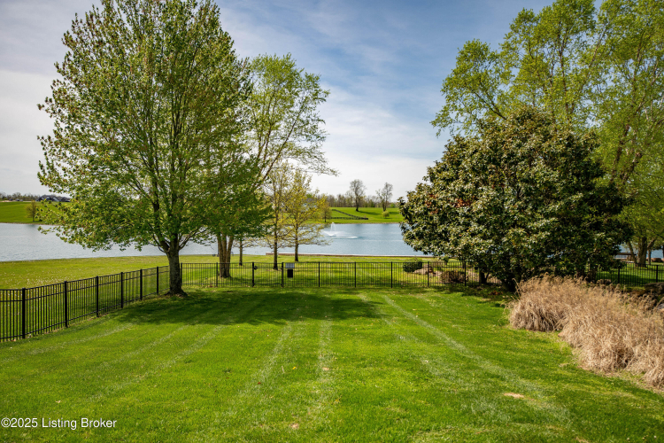 Listing Image 101