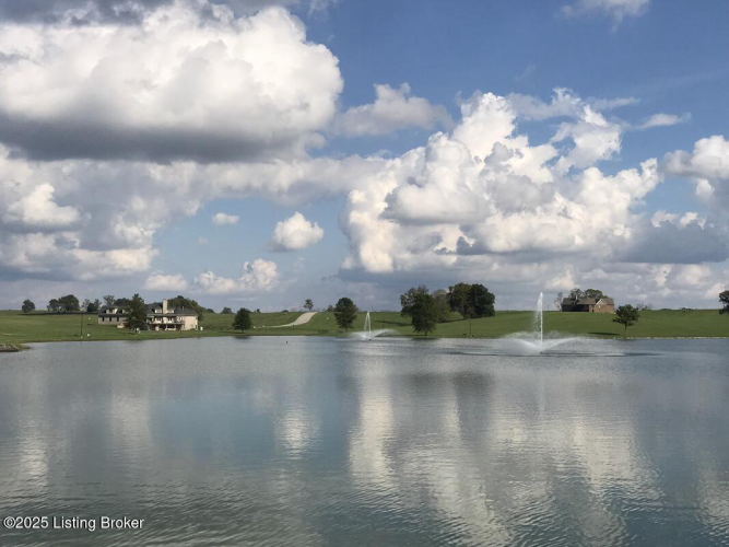 Listing Image 92