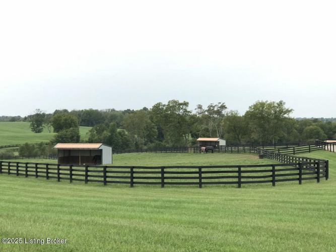 Listing Image 96