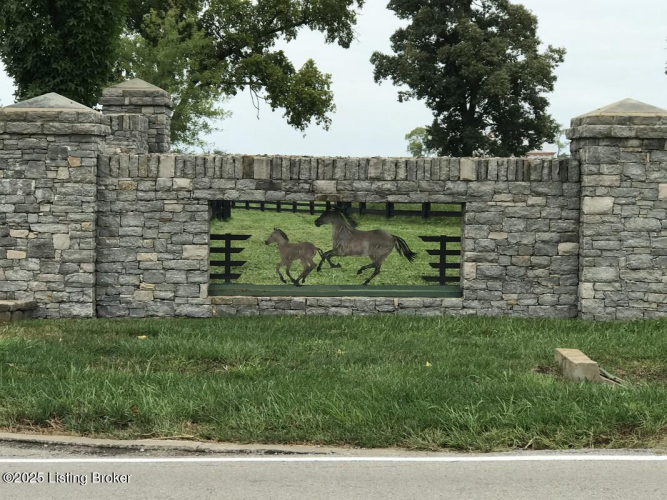 Listing Image 82