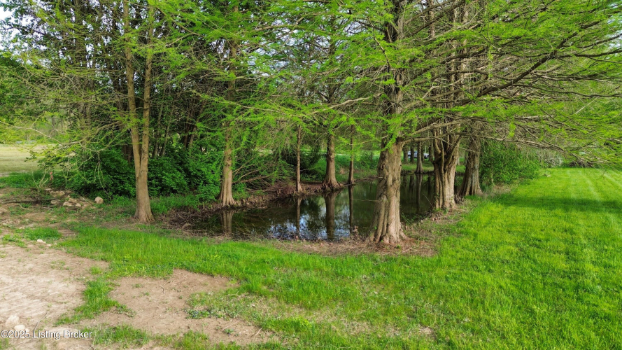 Listing Image 62