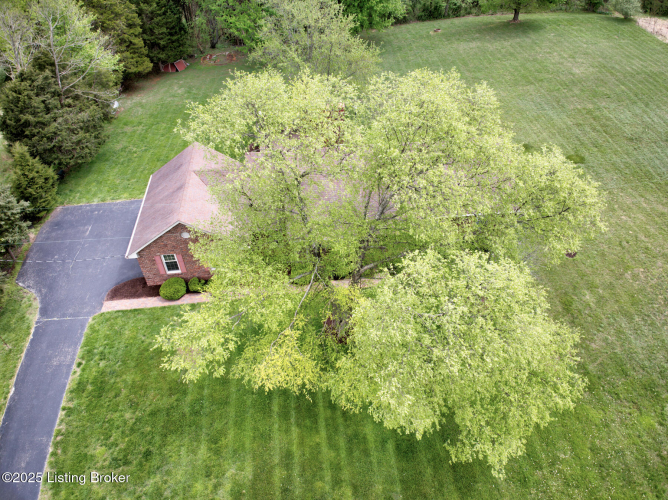 Listing Image 28