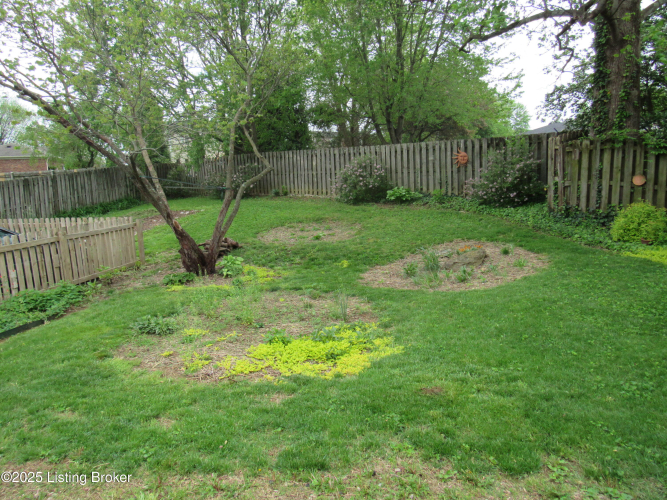 Listing Image 39