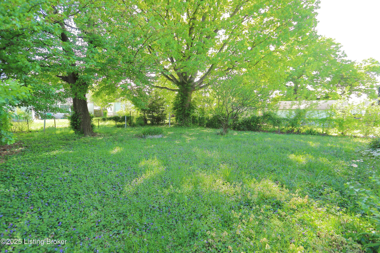 Listing Image 36