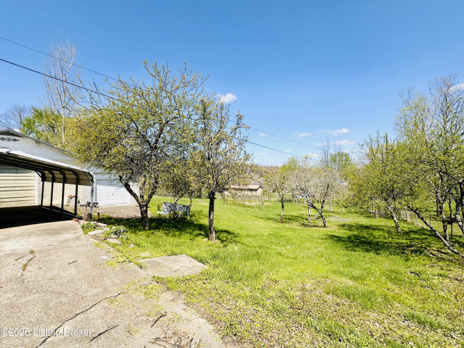 Listing Image 7
