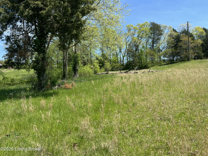 Listing Image 63