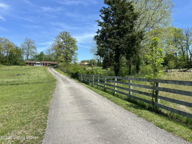 Listing Image 64