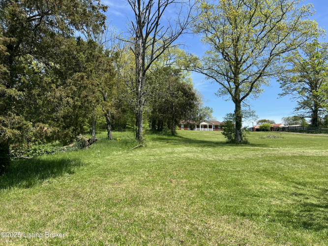 Listing Image 69