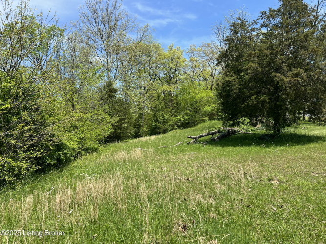 Listing Image 70