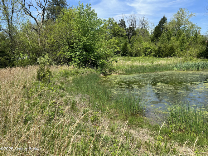 Listing Image 71