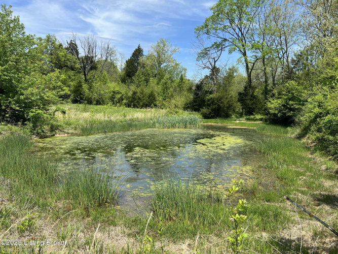 Listing Image 73