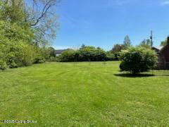 Listing Image 79