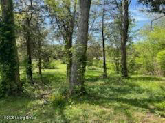 Listing Image 82