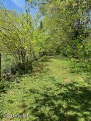 Listing Image 86
