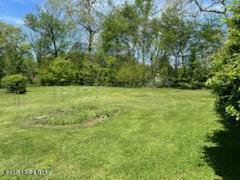 Listing Image 88