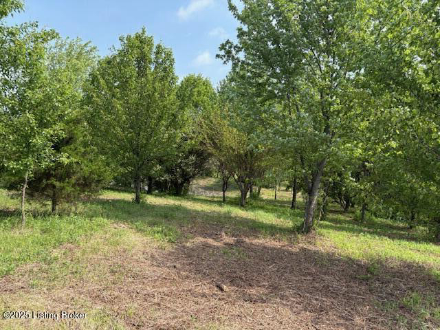 Listing Image 18