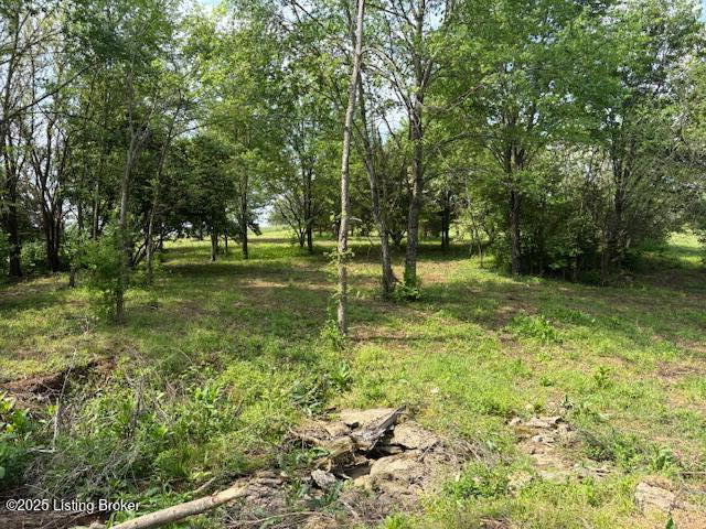 Listing Image 20