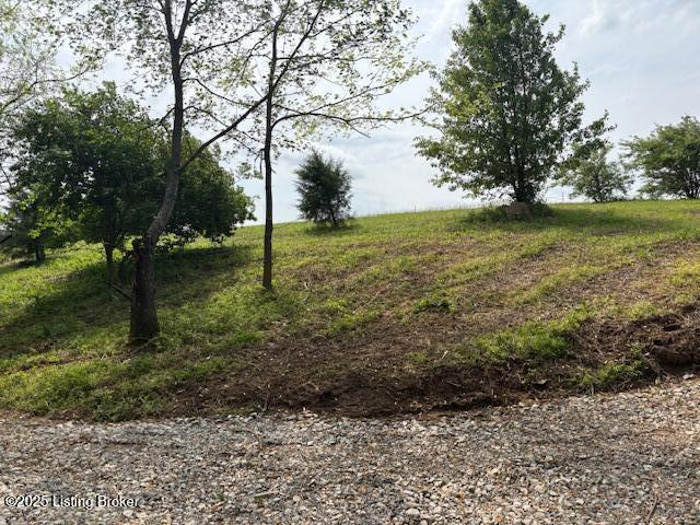 Listing Image 24