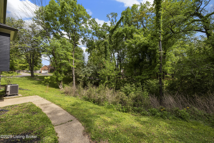 Listing Image 52