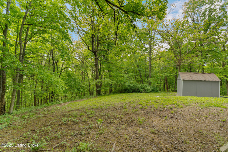 Listing Image 31